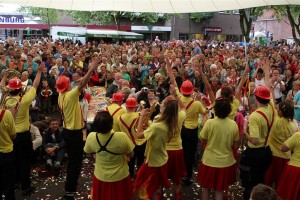 bemmel2009-vuur