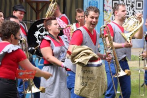 Bemmel2015_115